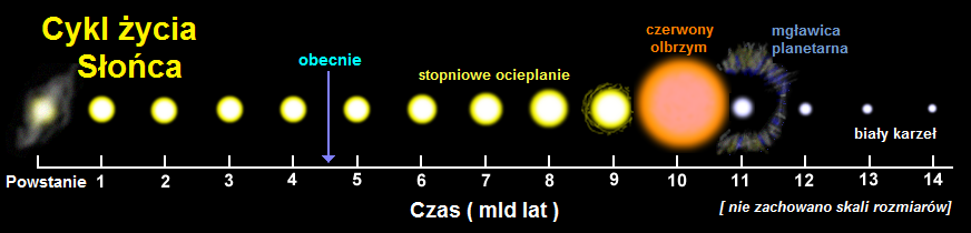 Cykl_%C5%BCycia_S%C5%82o%C5%84ca.png