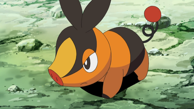 Tepig