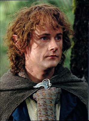 Peregrin (Pippin) Tuk- hobbit, przyjaciel Merriego, fajtłapa, ale oddany towarzysz Froda i Sama