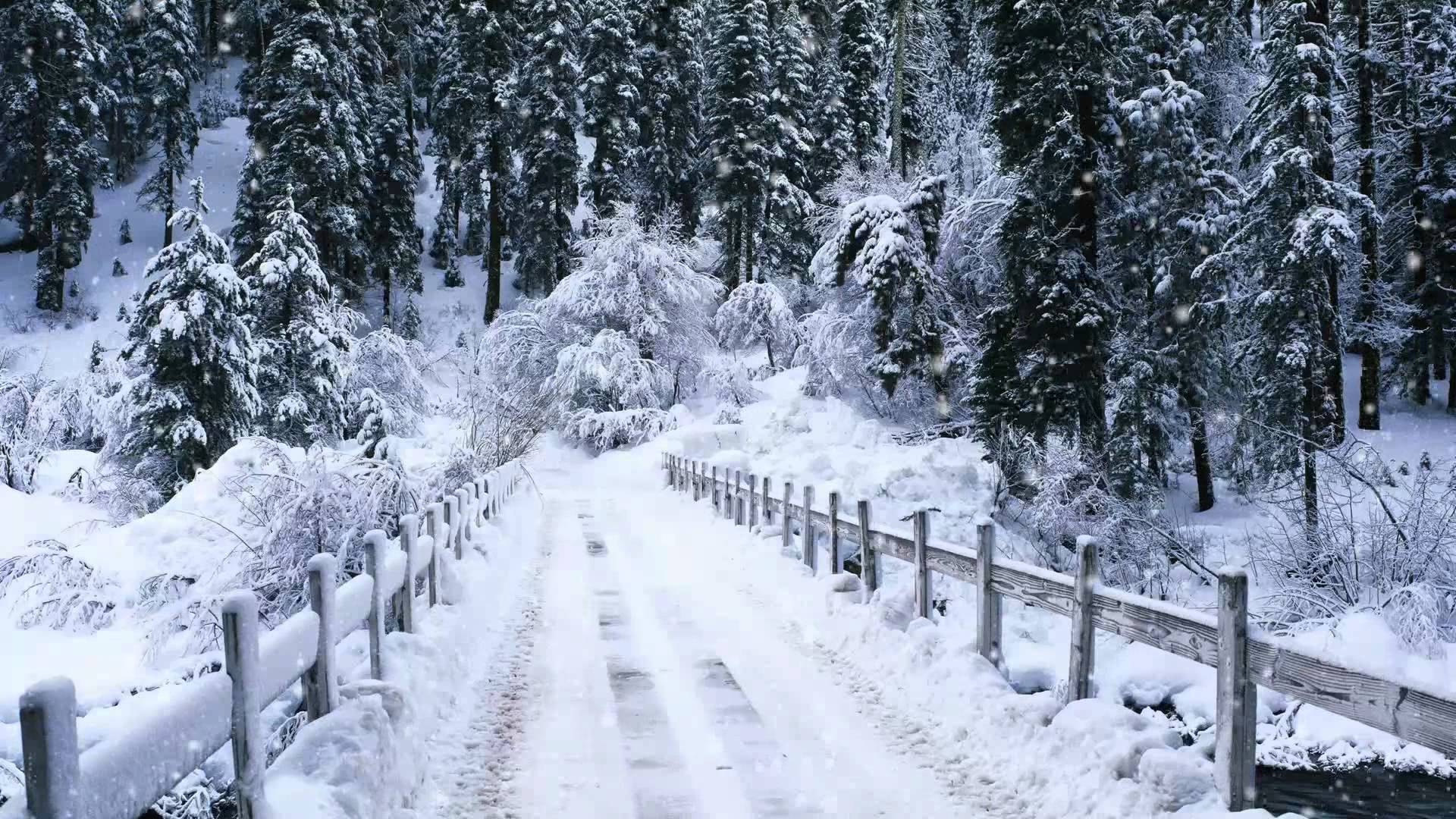 Kiedy jest dużo śniegu, jest pochmurno, ale pada śnieg 