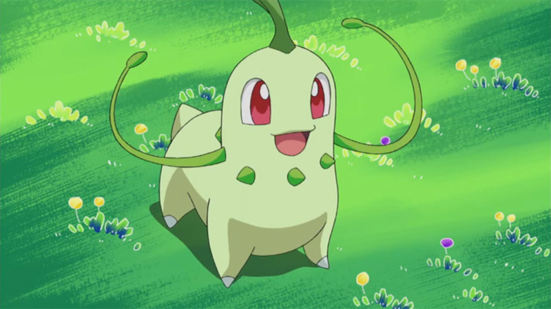 Chikorita