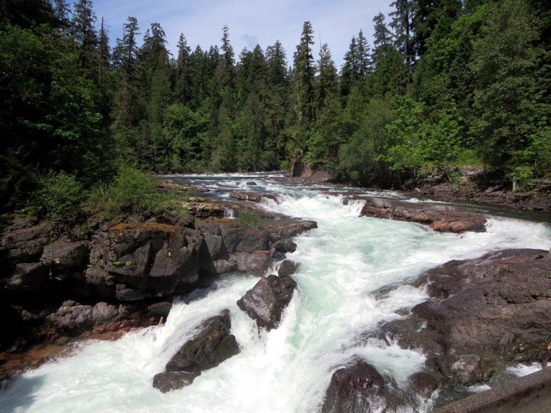 stamp-river-provincial-park.jpg