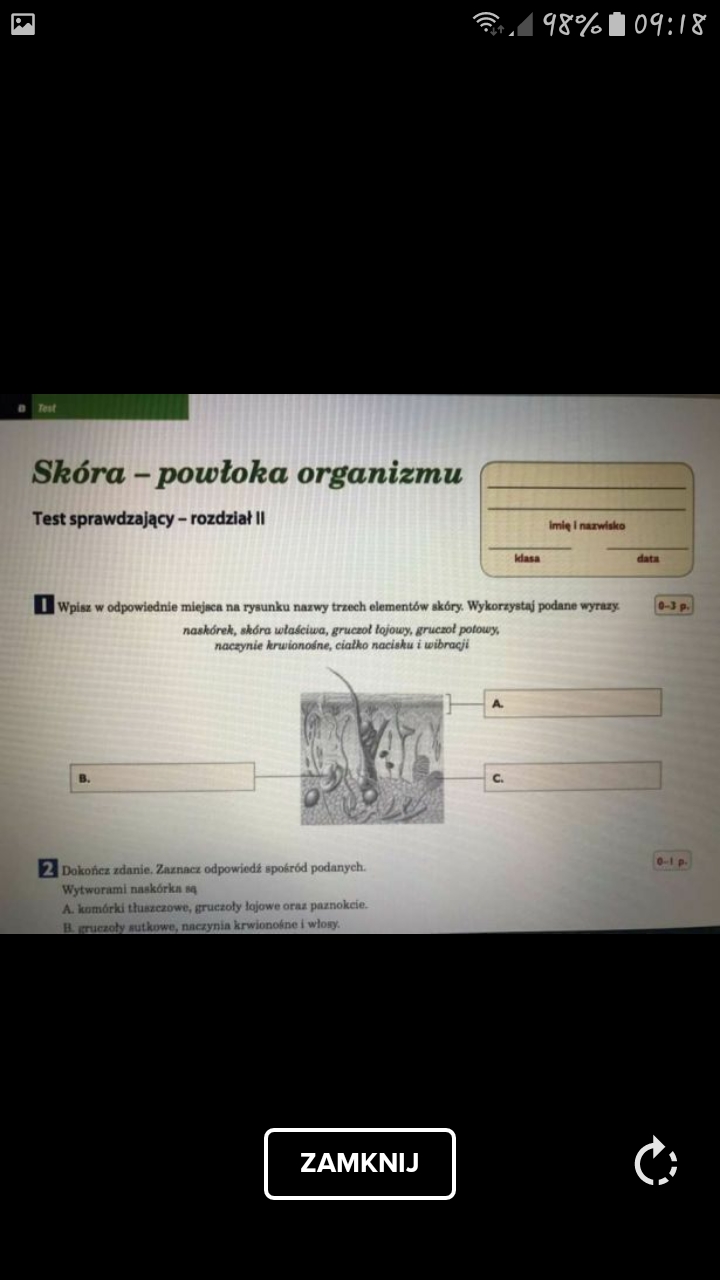 Organizm Czlowieka Skora Powloka Organizmu Sprawdzian Skóra Powłoka Organizmu Sprawdzian Klasa 7 - Margaret Wiegel™. Aug 2023