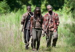 The walking dead