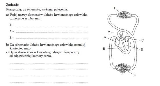 Trololoolo D Zadania ściągi I Testy Zapytajonetpl