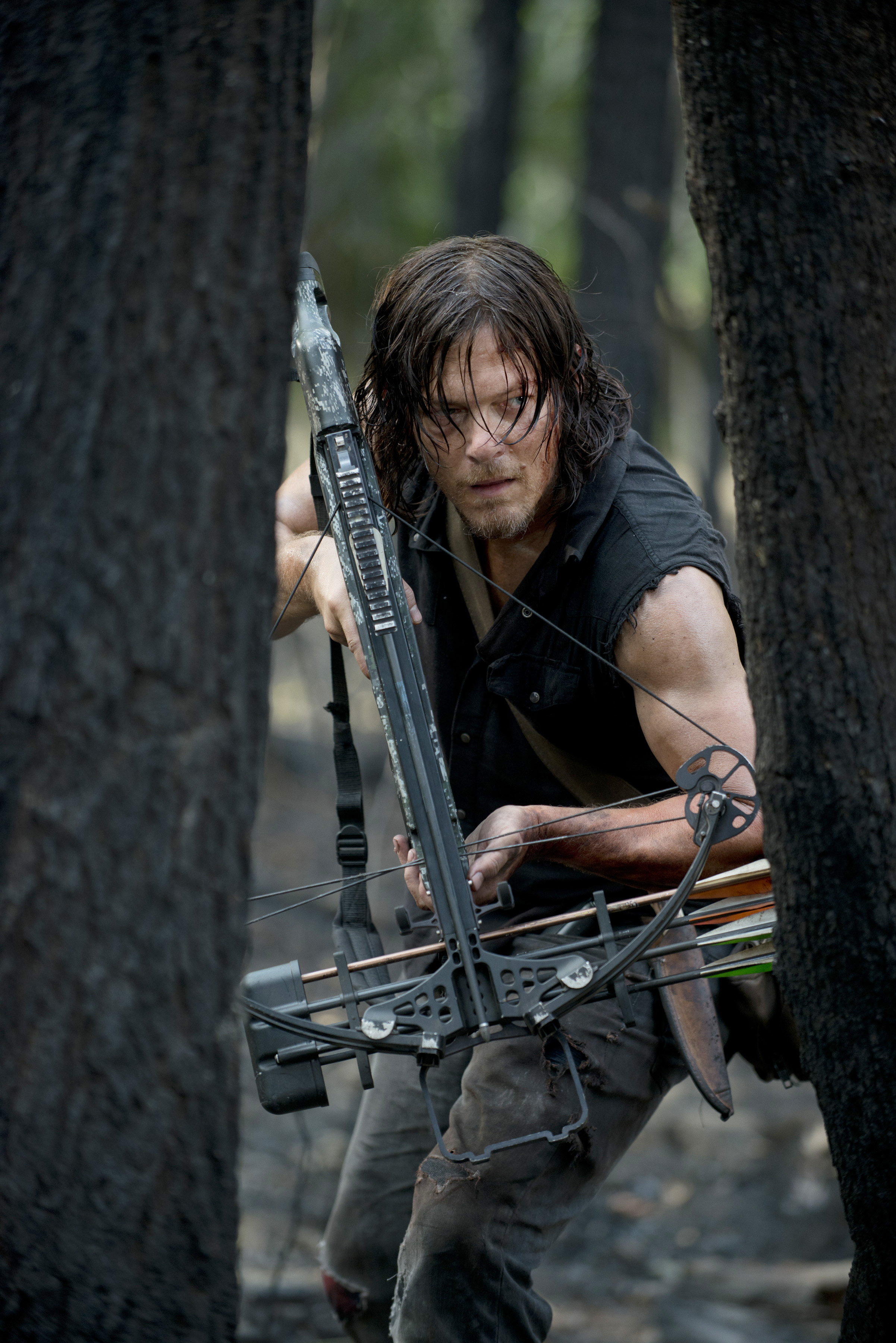 Daryl