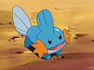 Mudkip