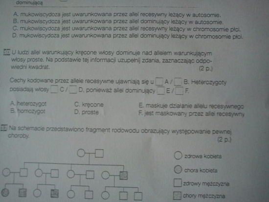Sprawdzian Z Genetyki Z Odpowiedziami - Kto jest dobry z biologii z genetyki materiał poziom podstawowy w