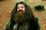 Hagrid