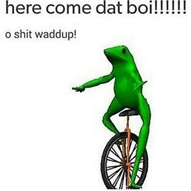 dat boi 