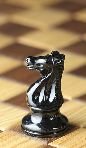 348px-Chess_piece_-_Black_knight.JPG