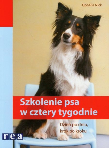 i-szkolenie-psa-w-cztery-tygodnie.jpg