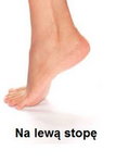 lewa