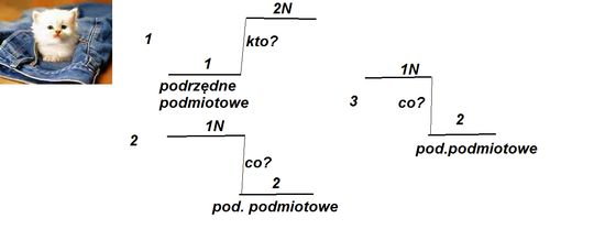 Zdania złożone współrzędnie i podrzędnie. – zadania, ściągi i testy