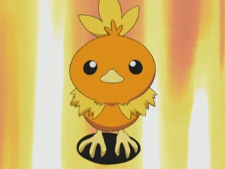 Torchic