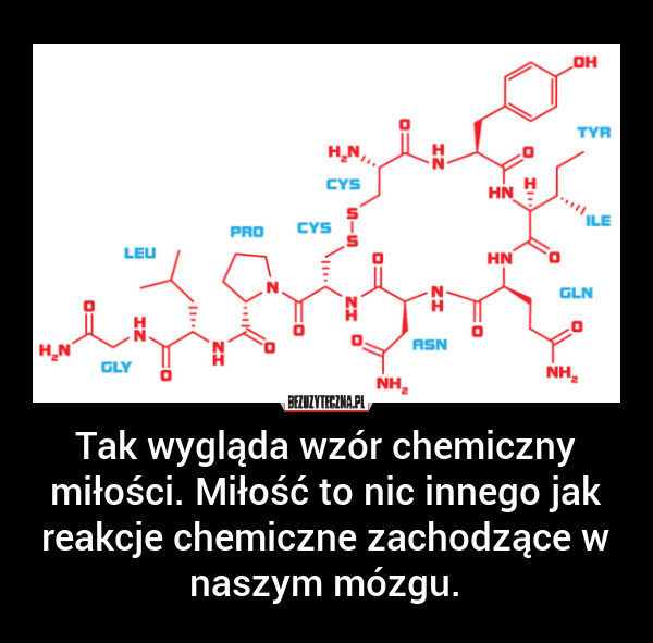 ...mieszanina hormonów. Reakcja chemiczna w naszym organizmie. Nic więcej.