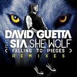 "She Wolf" - David Guetta ft. Sia :))