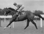 Shergar