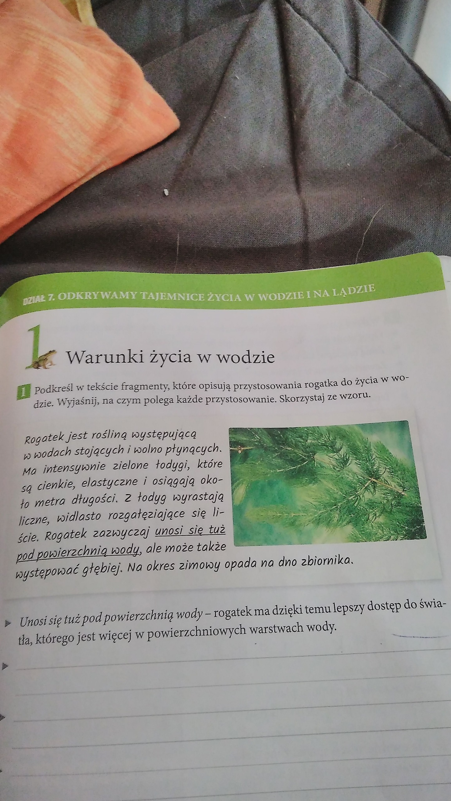 Przystosowanie Rogatka Do życia W Wodzie Podkreśl w tekście fragmenty, które opisują przystosowania rogatka do