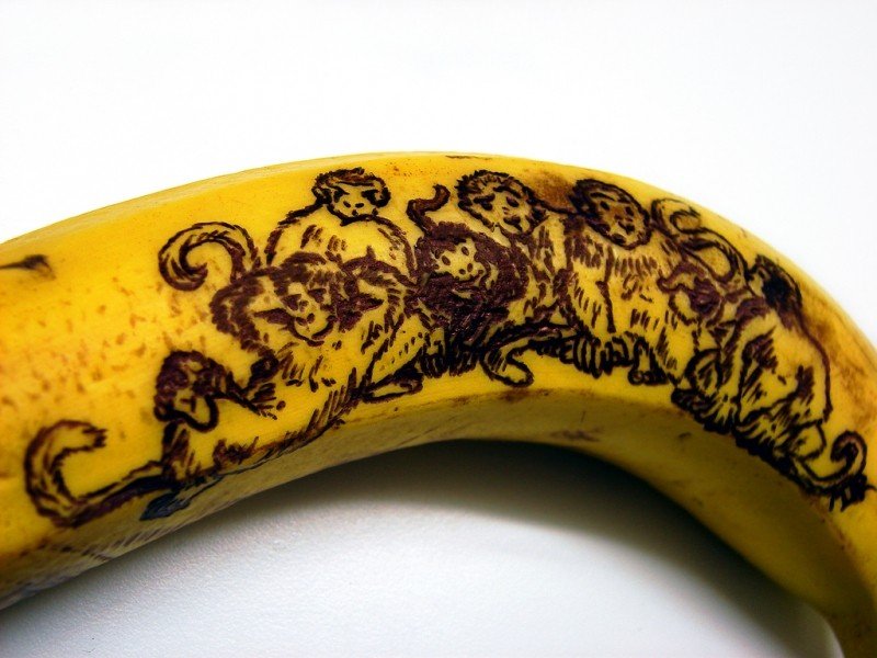 monkeys-on-a-banana.jpg