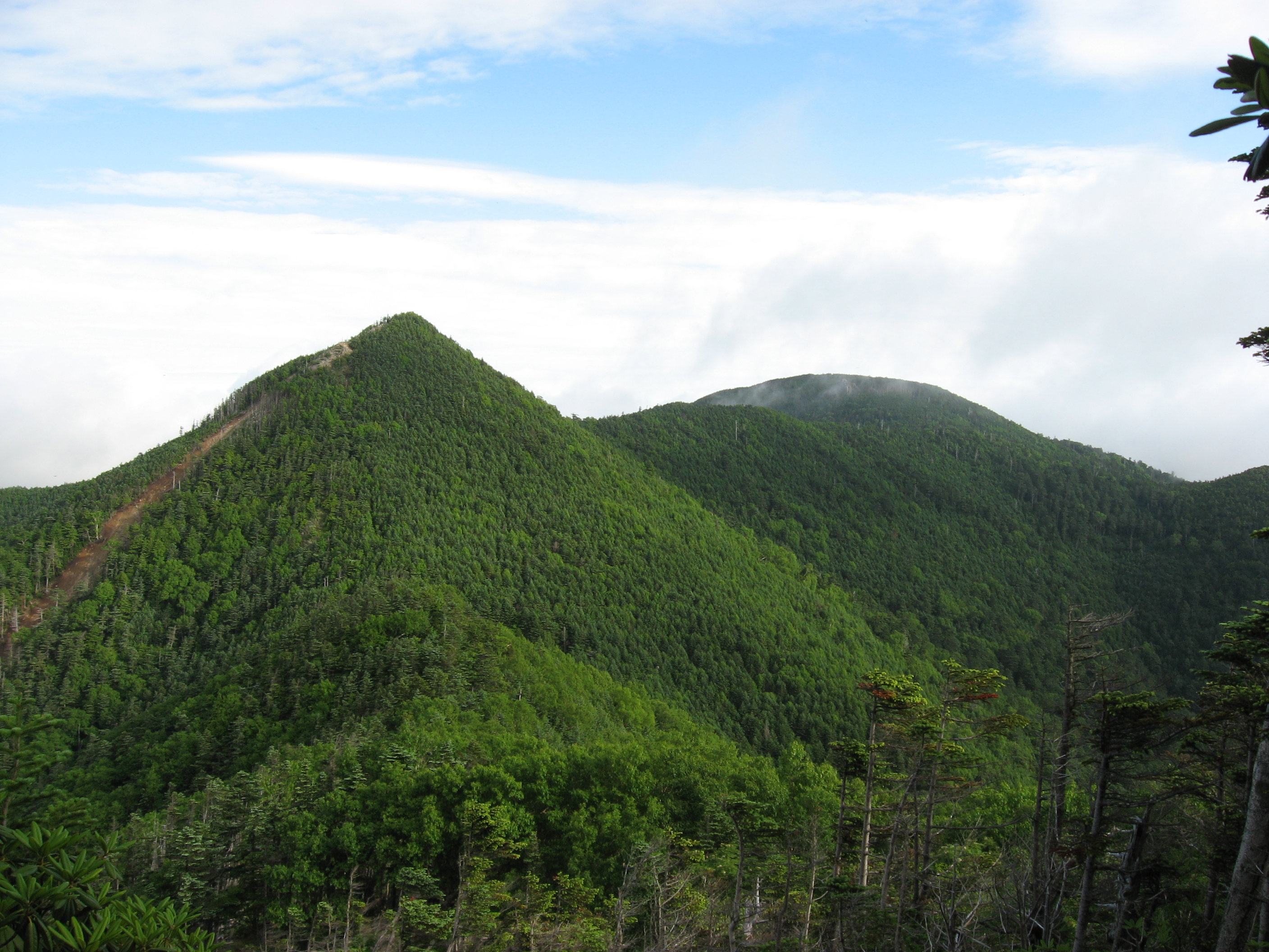 Mt.Kobushigatake_and_Mt.Sanpou_from_Mt.Tokusa.jpg