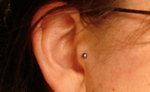 tragus