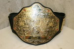 WWE Heavyweight Championship Belt