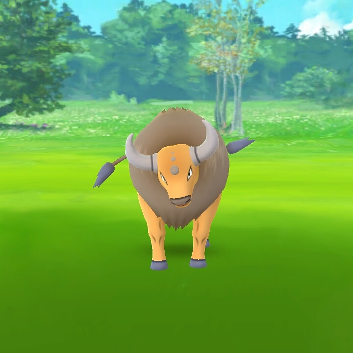 tauros