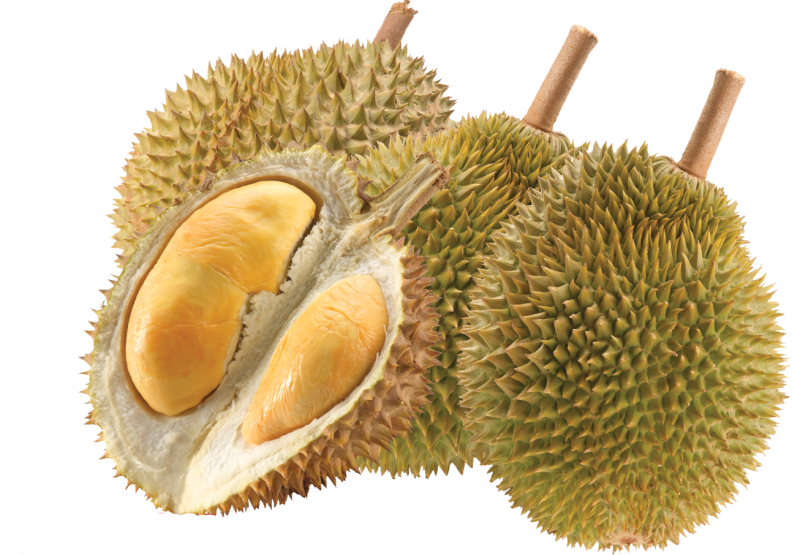 Durian 