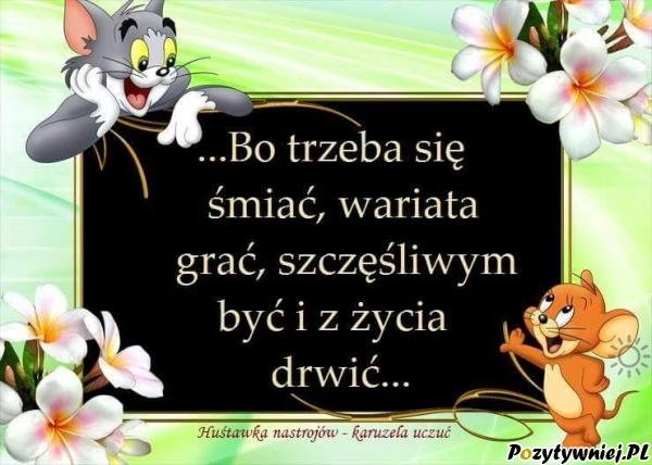 Znacie jakieś straszne historie ? Zapytaj.onet.pl Jaki dowcip utkwił Ci w pamięci? Zapytaj.onet.pl