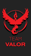 Team Valor