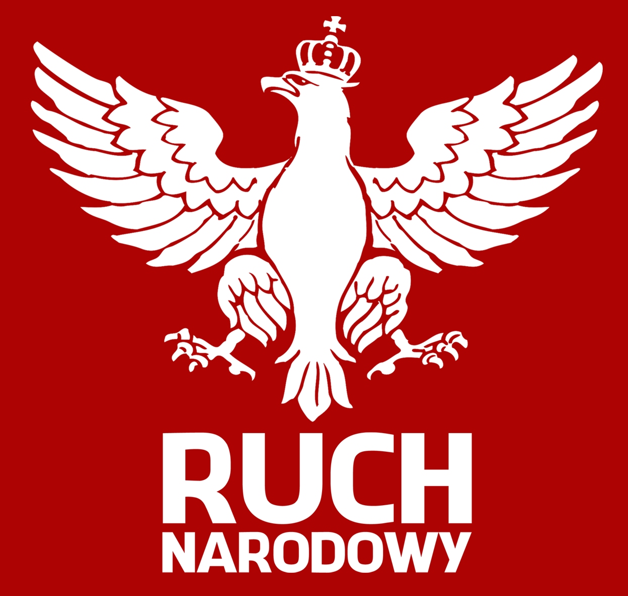 Ruch Narodowy